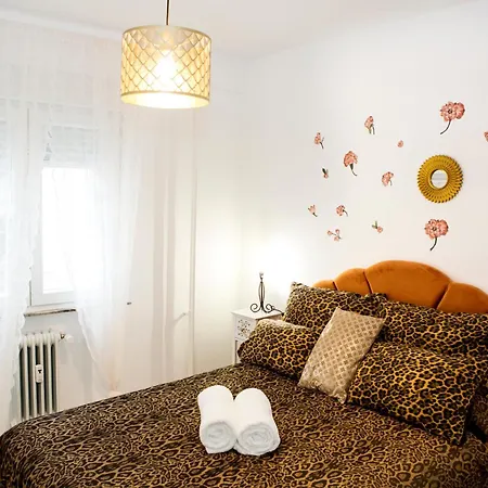 Vut 14 Grillos * Salamanca