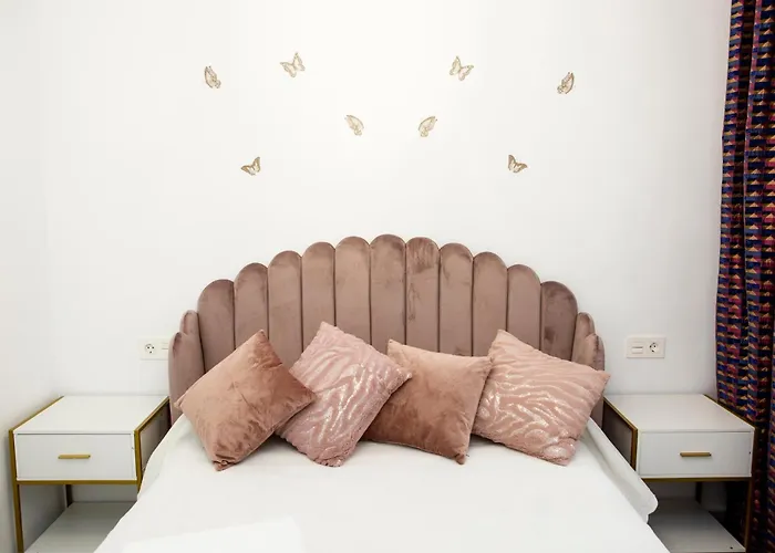 Vut 14 Grillos * 살라망카